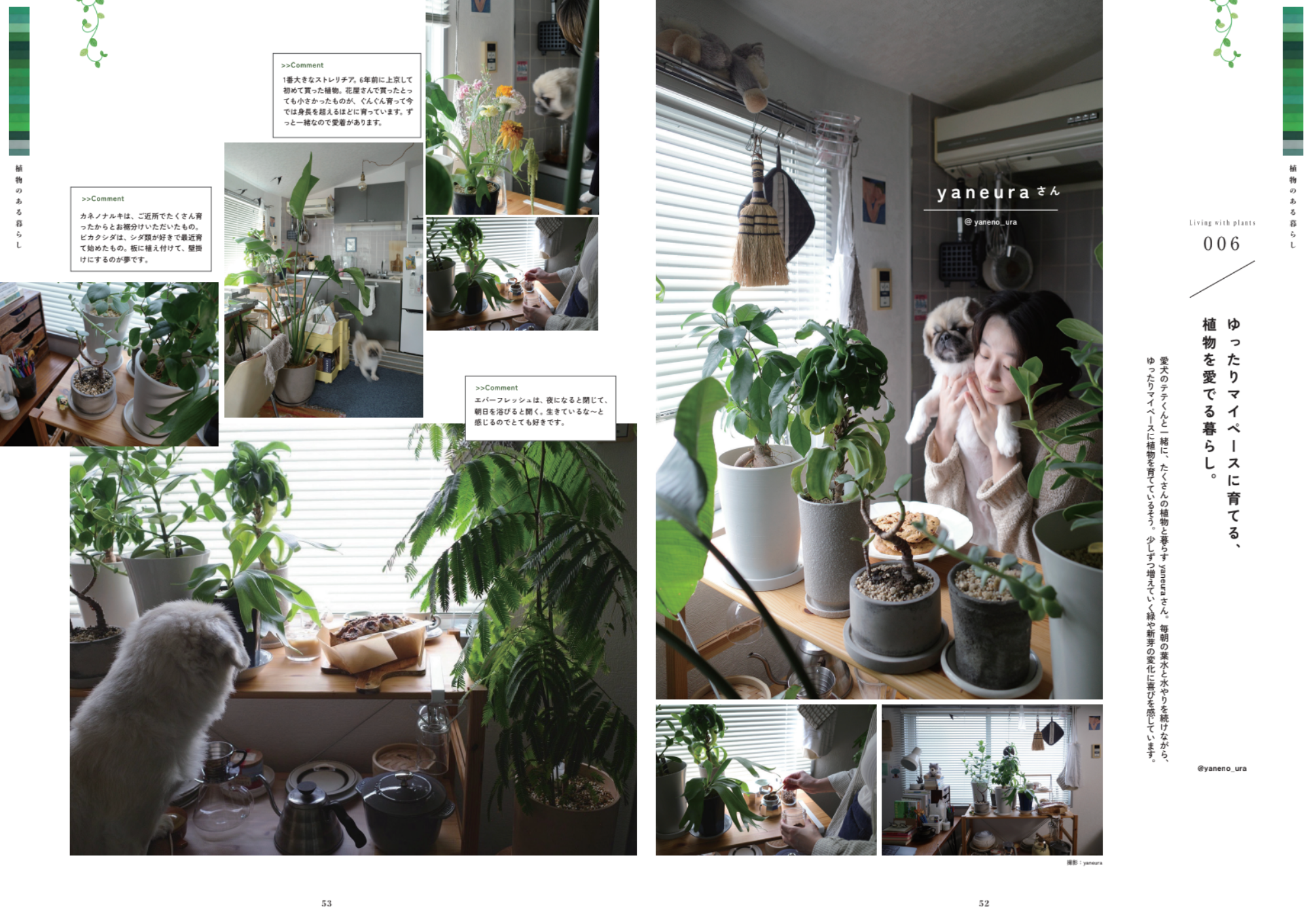 『リノベ女子』創刊号 vol.1【創刊記念で送料無料】